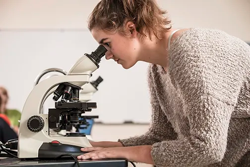 院系及课程设置